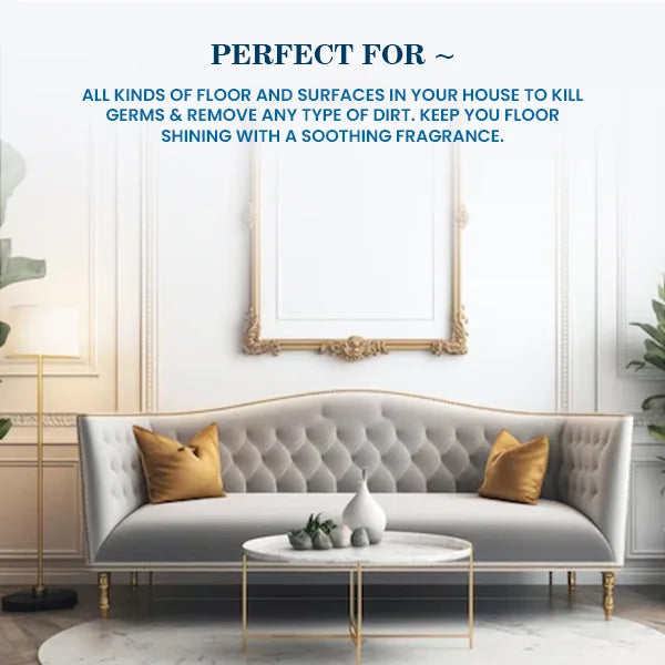 Diwali Essential Cleaning Kit