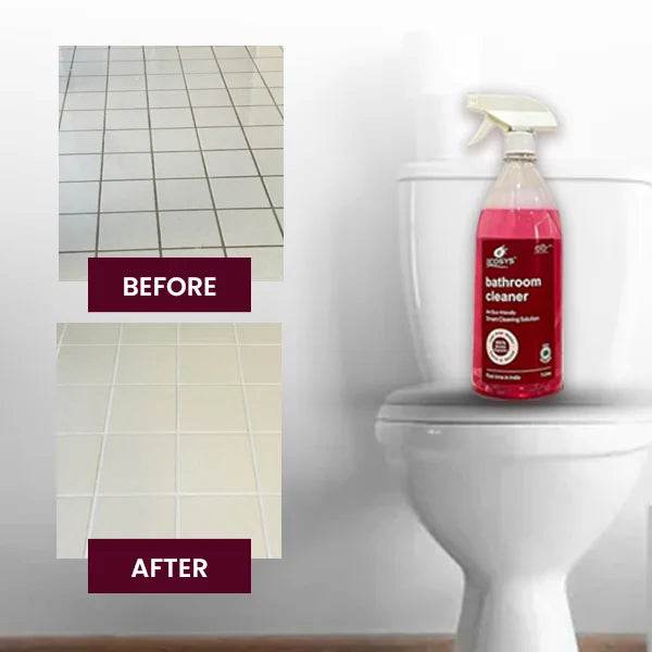 Disinfectant Bathroom Cleaner | Removes hard stains | Non Toxic - Ecosys Cleaners