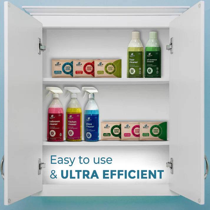 Daily Essential Kit - Ecosys Cleaners