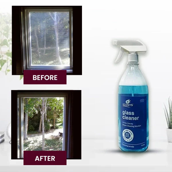 Biodegradble_Eco_Friendly_Glass_Cleaner